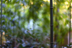 浄智寺の秋 01 浄智寺の秋 01