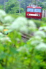 Rainy season train I