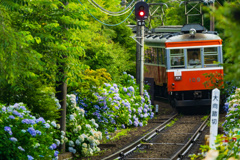 復旧祈願・箱根登山鉄道