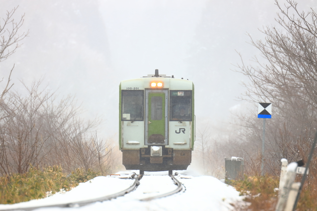 春雪
