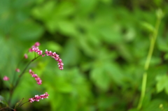 線路脇の・・・ 1