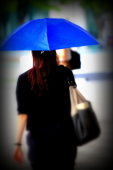 傘華 II