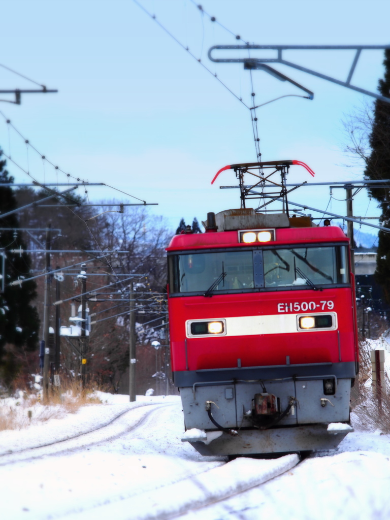 雪国列車 XII
