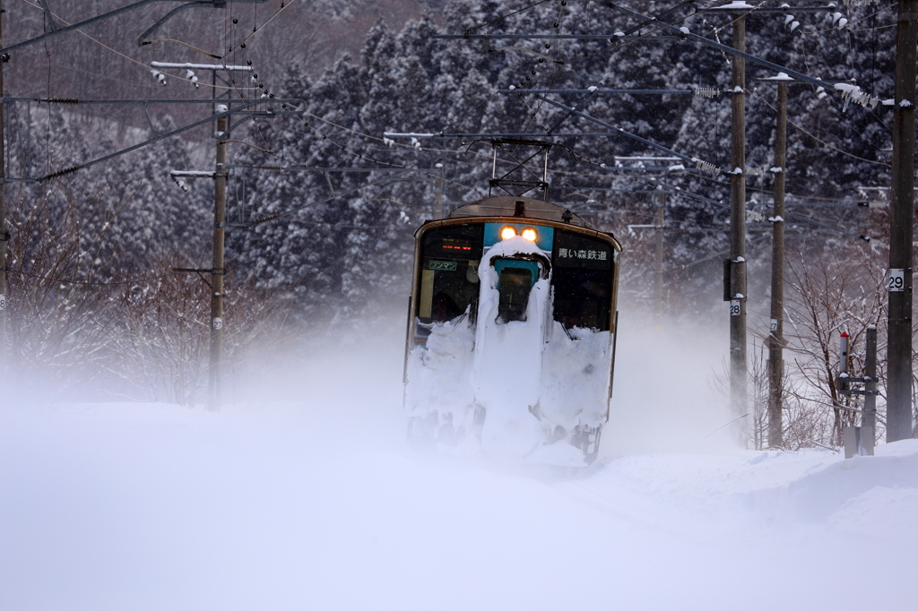White World Train I