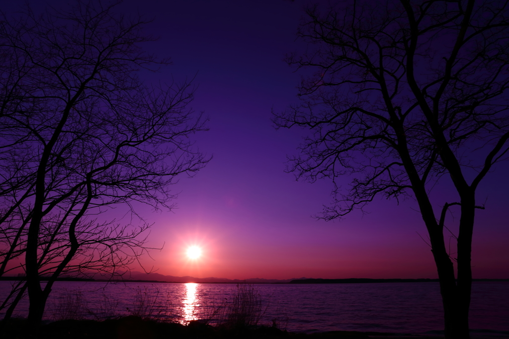 夕湖 XI