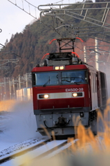 Snowfield Train XII