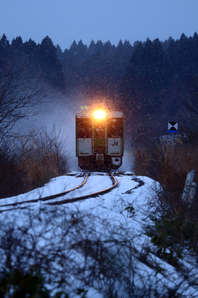 Snowfield Train VII