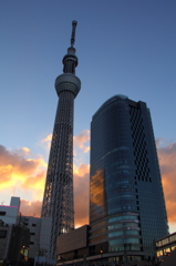夕暮れのスカイツリー