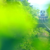 緑の世界 I