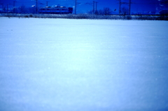 輝雪