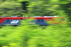 Spring Train XVI