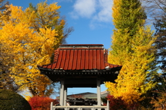 二大巨塔