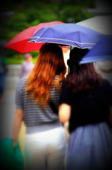 傘華 V
