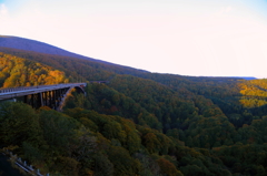 朝橋