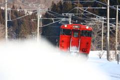 悲報　～このまま姿を消すの～