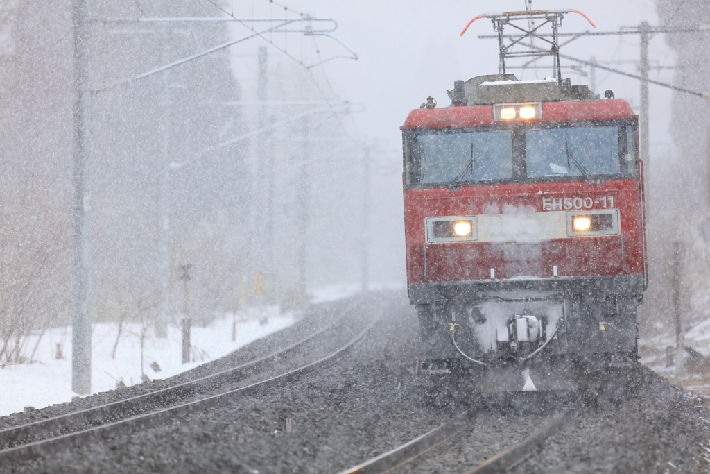 なごり雪 I -試写-