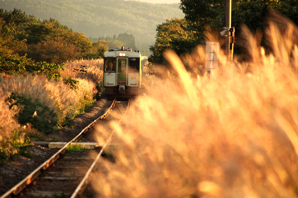 秋景色 -鉄道- II