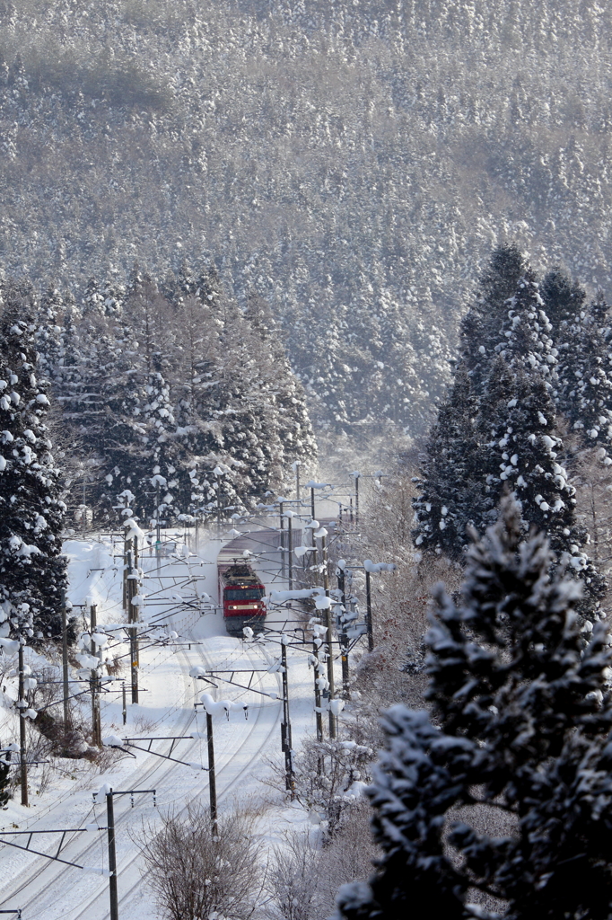 Snowfield Train XVII