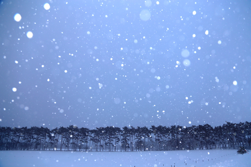 吹雪の夜明け
