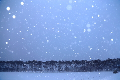 吹雪の夜明け