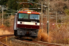 晩秋のみちのく路 VIII