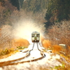 冬へと・・・ I