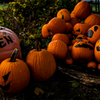 ハロウィンの定番