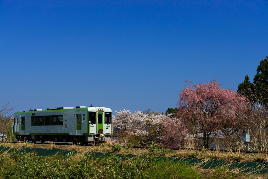 観桜列車 I