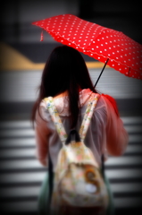 傘華 IV