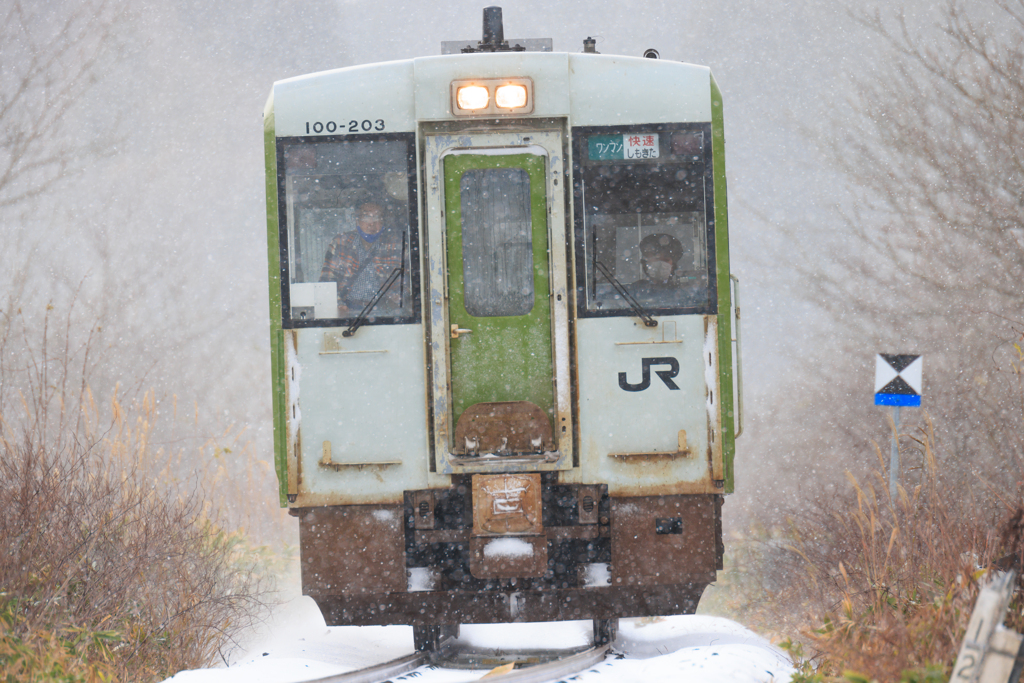 初冠雪2021 II