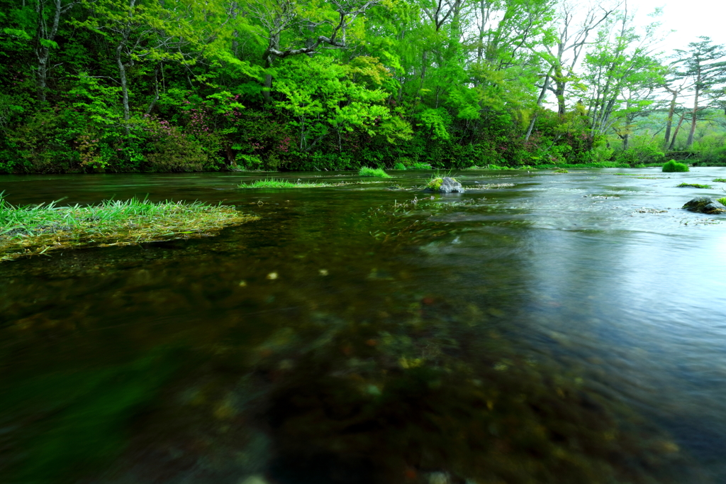 グダリ沼の春 VI