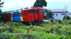 畑の中の「まさかり」