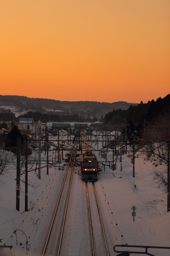 Morning glow train XV