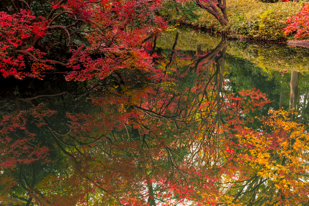 都会の紅葉 I
