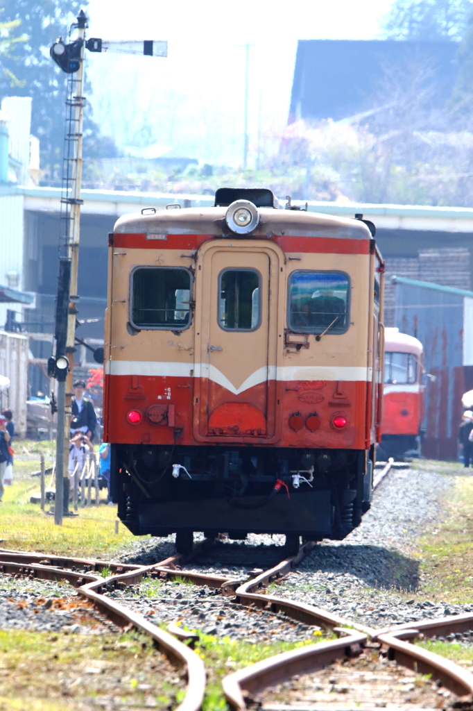 レールバスとあそぼう2016 V