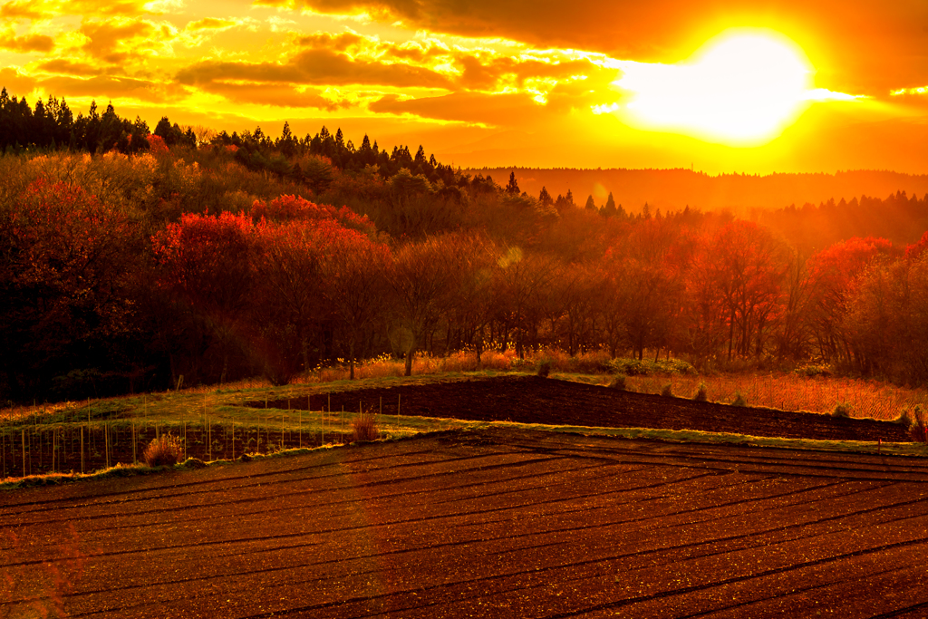 晩秋の夕暮れ By Taka1451 Id 写真共有サイト Photohito