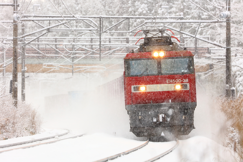 ちょっと早めの雪景色 I