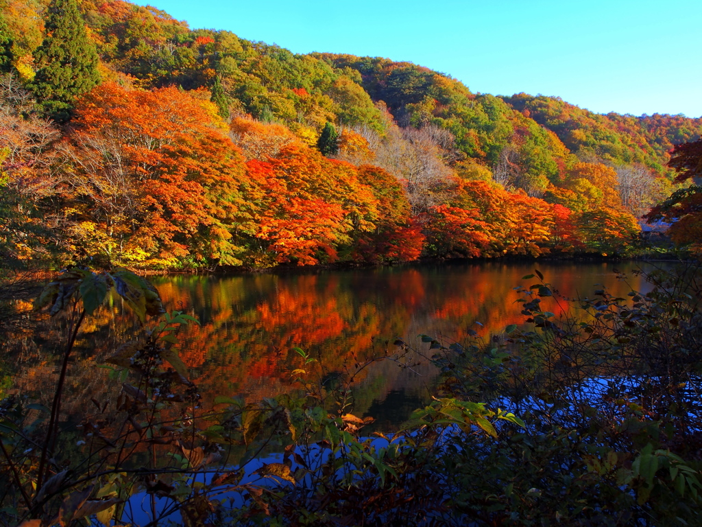 水鏡の池 I