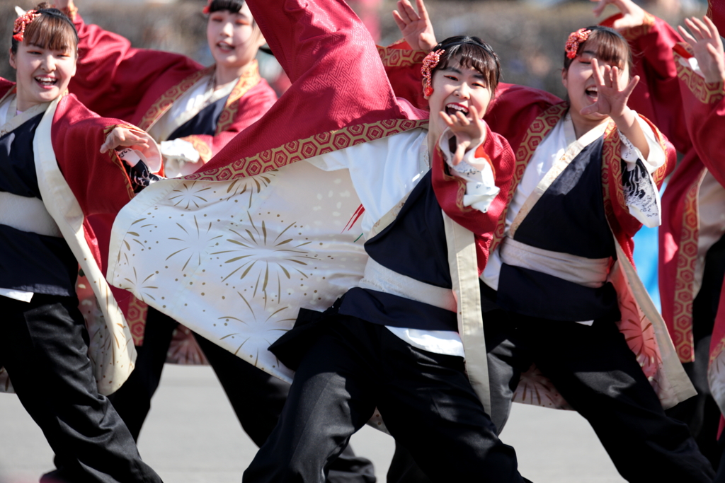 よさこい元気祭り 2019 XV