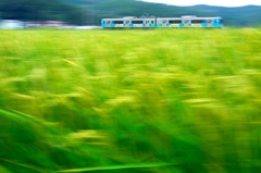 田園疾走 VIII