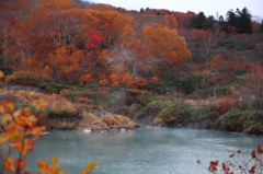 晩秋の八甲田山にて