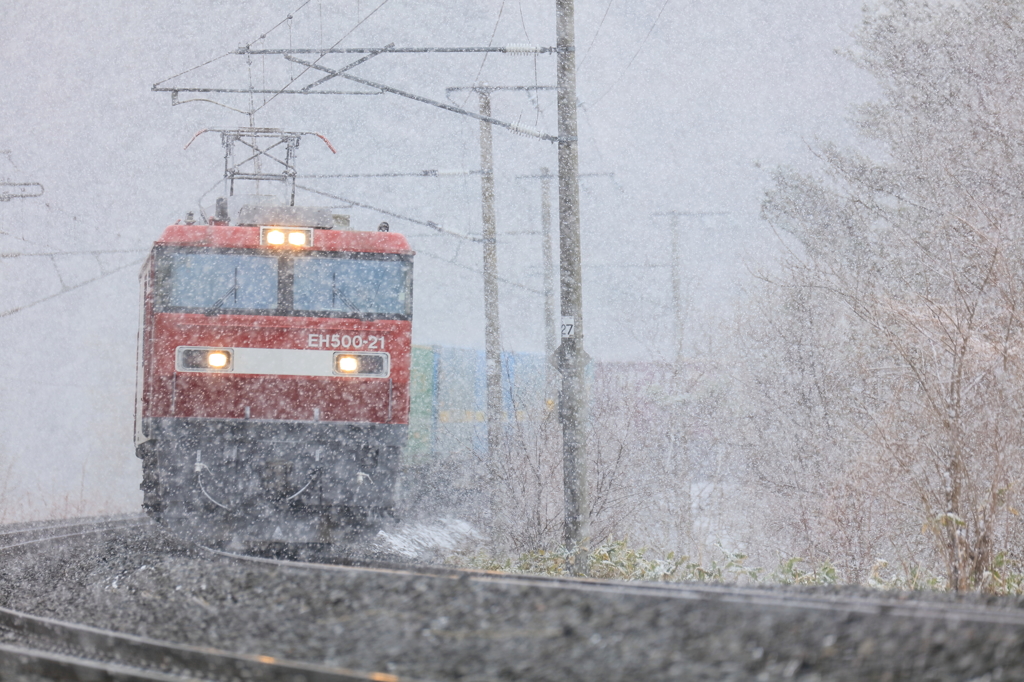 なごり雪 II -試写-