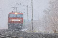 なごり雪 II -試写-