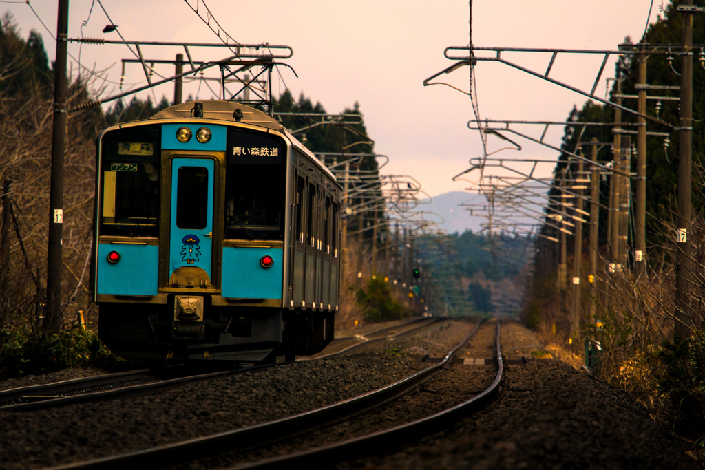朝の彩り II