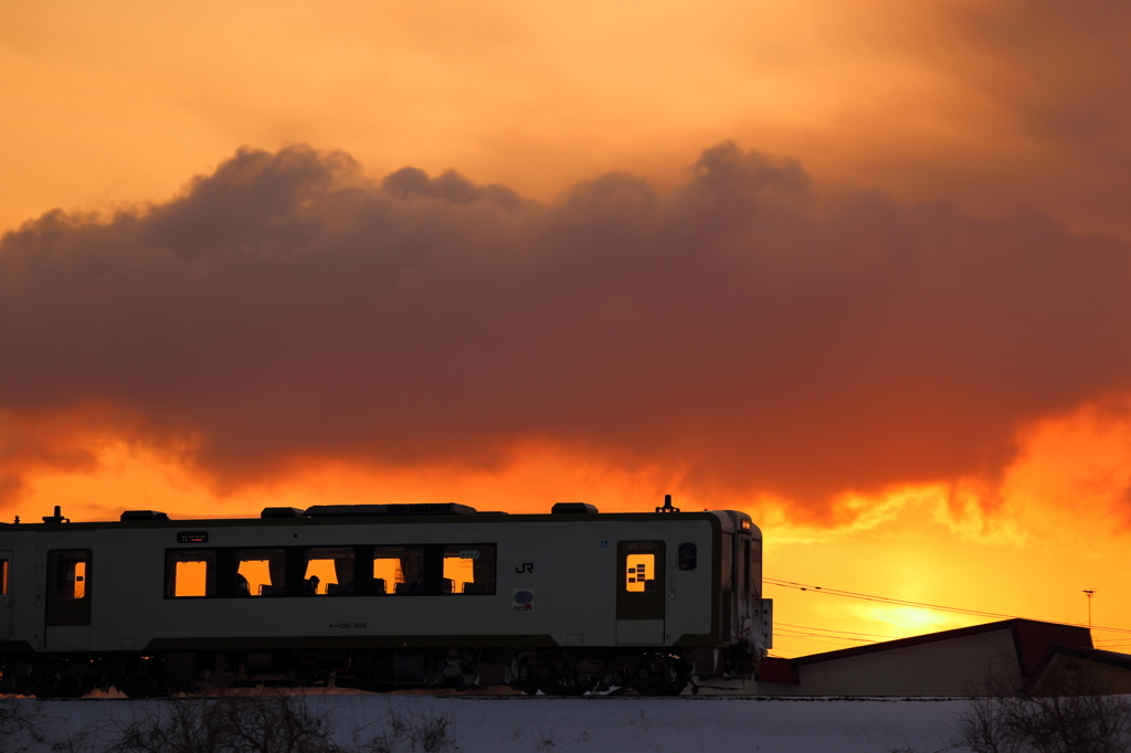 Morning glow train XXIII