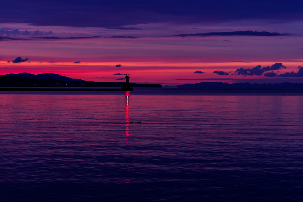 凪海のカップル
