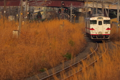 枯れ草の中・・・