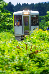 夏景色 VIII