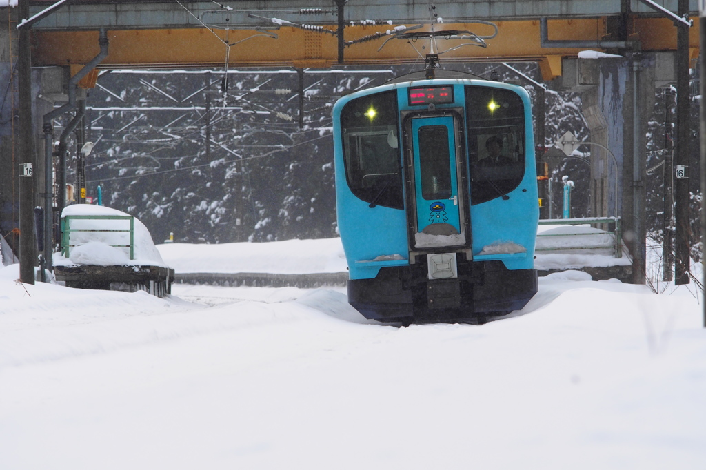 濡れ雪の朝