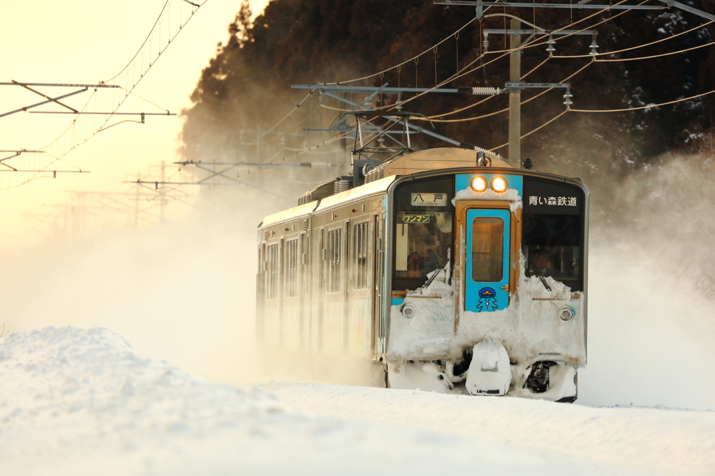 黄金色の雪原 I